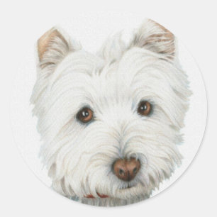 Westie Dog Classic Round Sticker