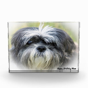 Westie Dog. Photo Block