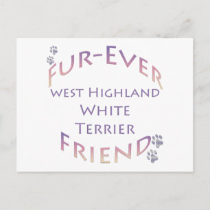 Westie Furever Friend Postcard