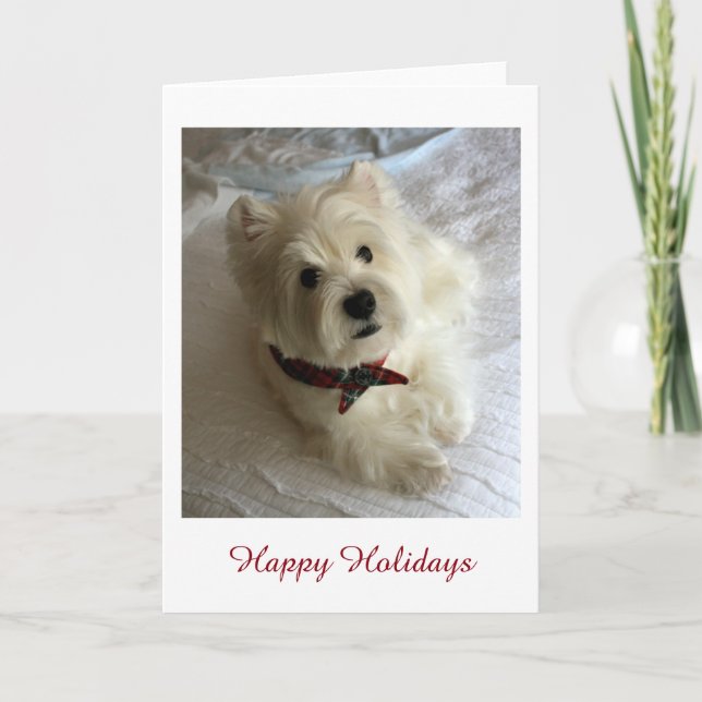 Westie Holiday (Front)