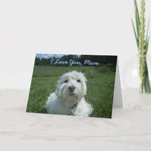 Westie I Love You Mom Happy Mother's Day Card