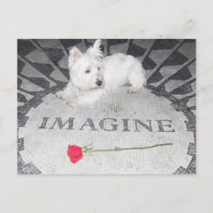 Westie Imagines World Peace Postcard