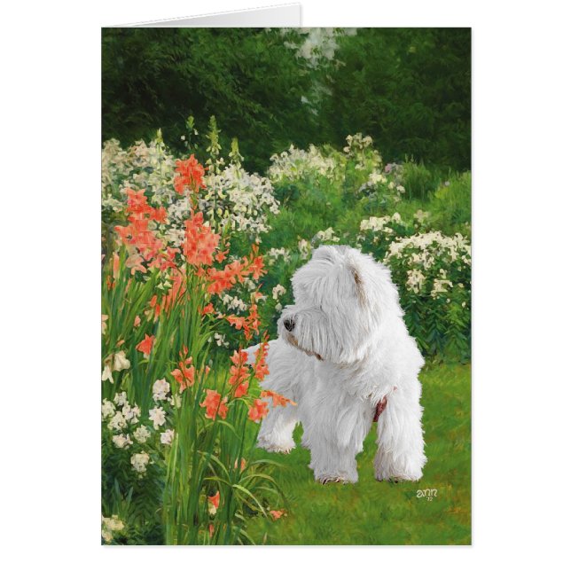 Westie in the Garden (Front)