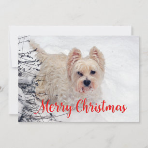 Westie in the Snow Christmas Card