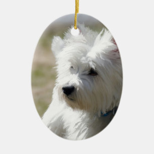 Westie in the springtime ceramic ornament