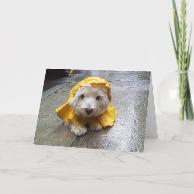 Westie in Yellow Rain Mac! Card (Front)