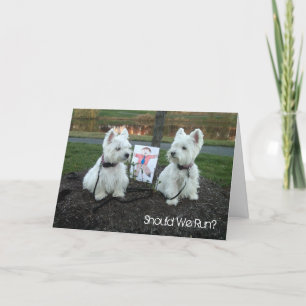 Westie Just for Fun Card "Should We Run?"
