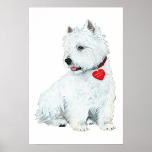Westie Love Poster