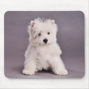 Westie mousepad