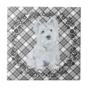 Westie on Tartan Tile