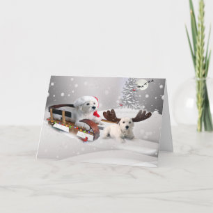 Westie Pals Enjoy Christmas Day Sledding Holiday Card