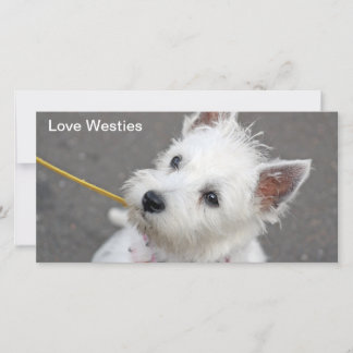 westie photo card