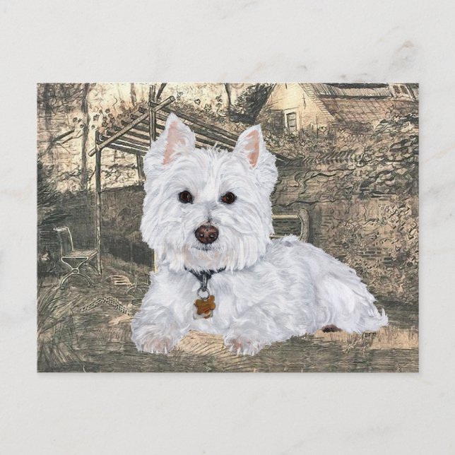 Westie Postcard (Front)