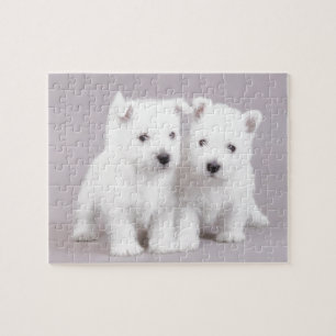Westie puppies jigsaw puzzle