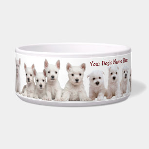 Westie Puppies Waiting Patiently For Their Food