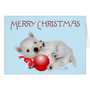 Westie Puppy Christmas Playtime
