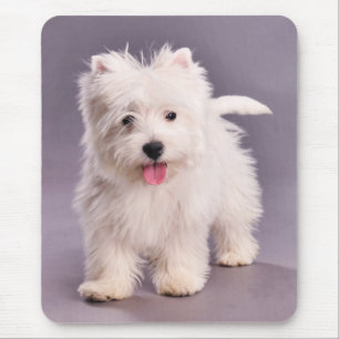 Westie puppy mouse pad
