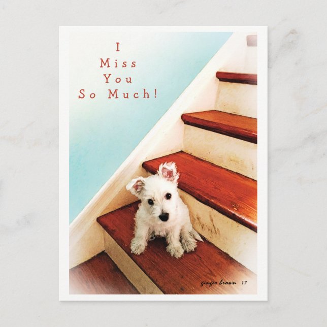 Westie Puppy On Step Missing You! #2 Postcard (Front)