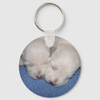 Westie Pups Sleeping