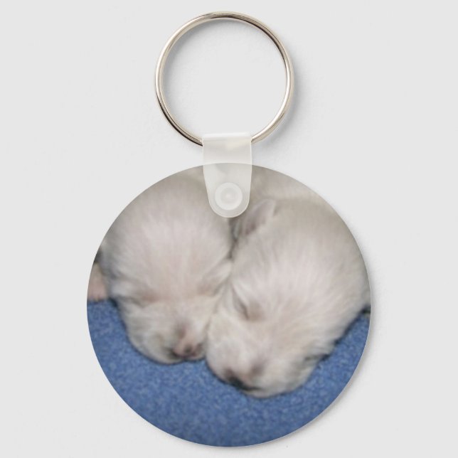 Westie Pups Sleeping Keychain (Front)