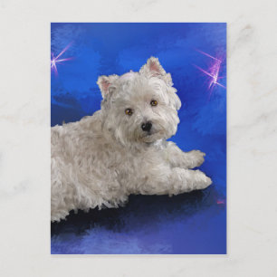 Westie Resting Postcard