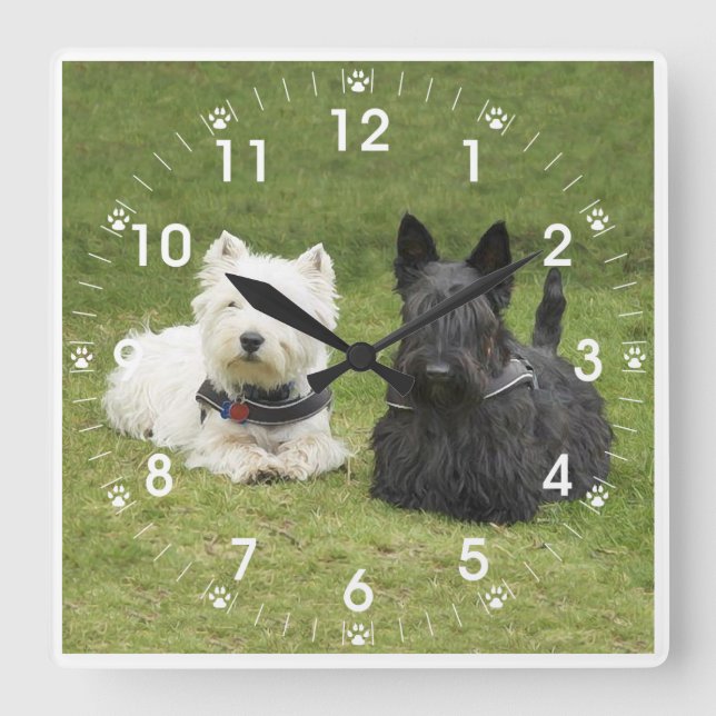 Westie & Scottie Green Grass Square Wall Clock (Front)