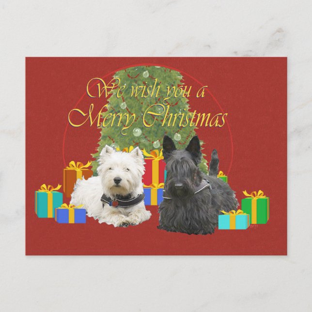Westie & Scottie Merry Christmas Holiday Postcard (Front)