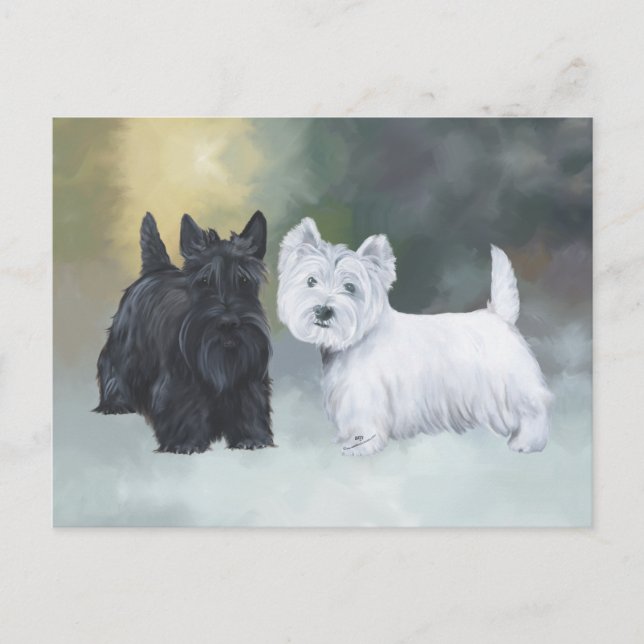 Westie Scottie Wintertime Postcard (Front)