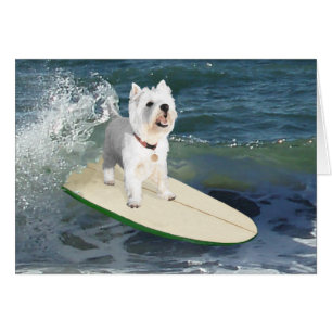 Westie Surfeur
