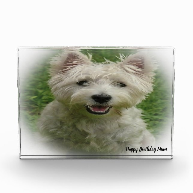 Westie Terrier Dog. Photo Block (Front)