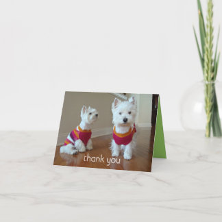 Westie Thank You Card