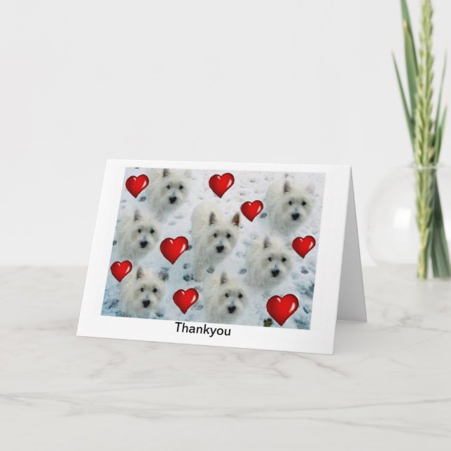 Westie Thankyou Card west highland white terrier (Front)