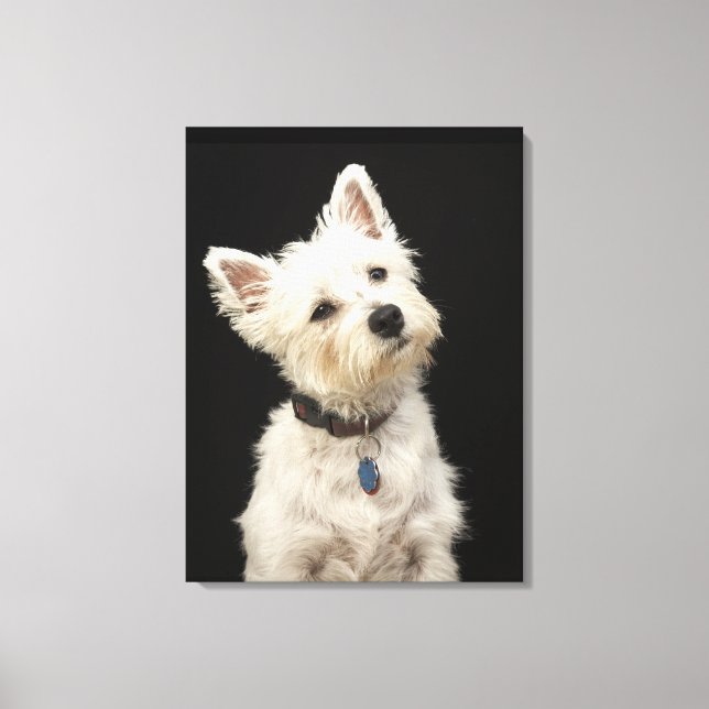 Westie | West Highland Terrier Canvas Print (Front)