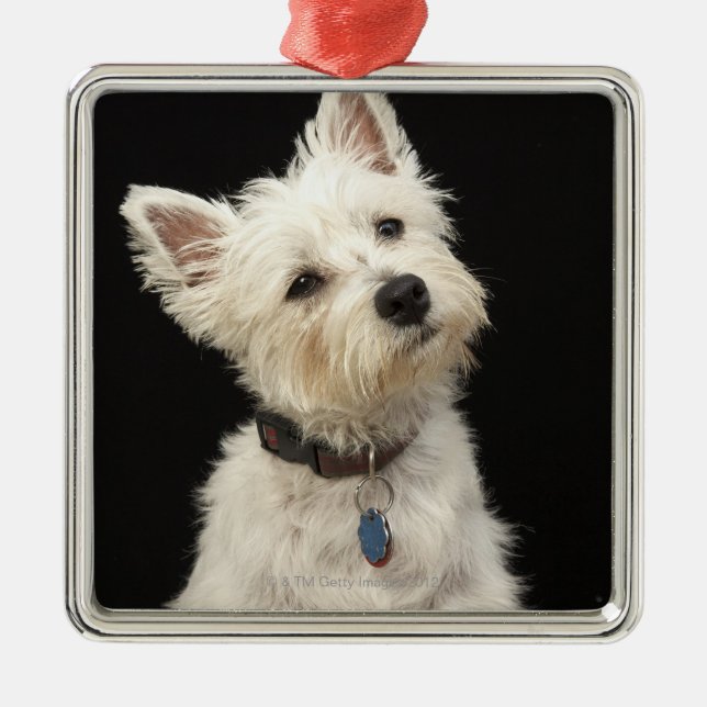 Westie | West Highland Terrier Metal Ornament (Front)