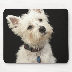 Westie (West Highland terrier) with collar Mouse Pad