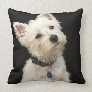 Westie (West Highland terrier) with collar Throw Pillow