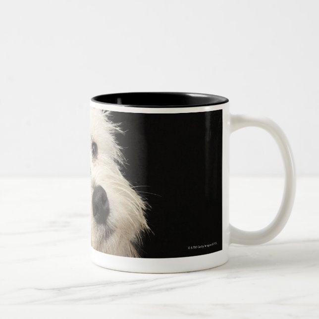 Westie (West Highland terrier) with collar Two-Tone Coffee Mug (Right)