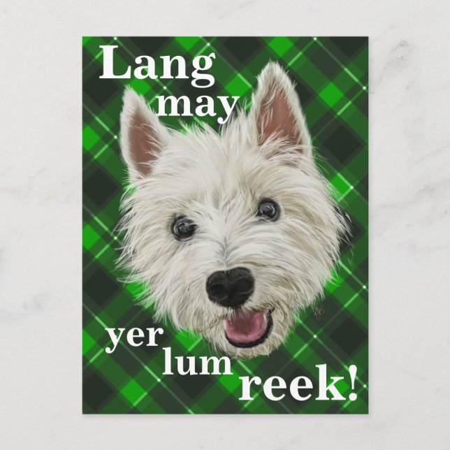 Westie Wisdom. Lang may yer lum reek! Postcard (Front)