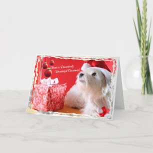 Westie Wonderful Christmas Wishes4 Customize It #2 Holiday Card