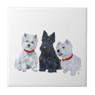 Westies and a Scottie Together Tile