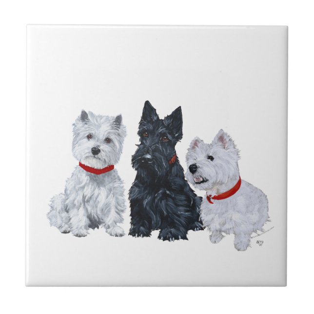 Westies and a Scottie Together Tile (Front)