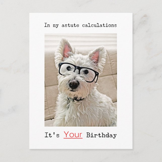 Westie's Calculation, It's Your Birthday, Carte po (Devant)