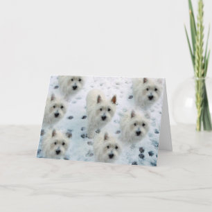 Westies dans la carte de voeux de Noël neige