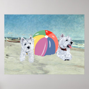 Westies with a Beach Ball Poster