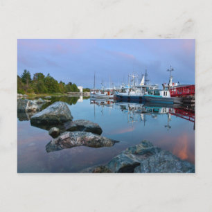 Westivew Boat Harbour Postcard
