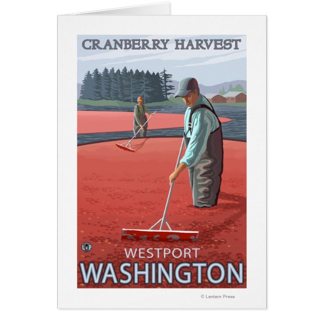 Westport, WashingtonCranberry Bog Harvest (Front)