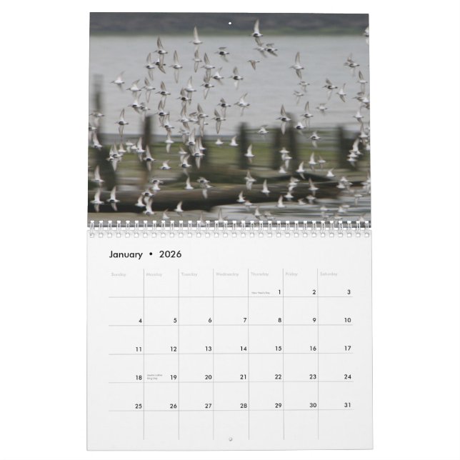 Westport Waves - 2013 Surfing Calendar (Jan 2026)