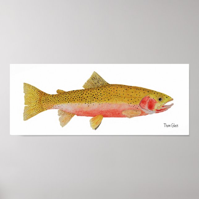Westslope Cutthroat Trout Watercolor Poster (Front)