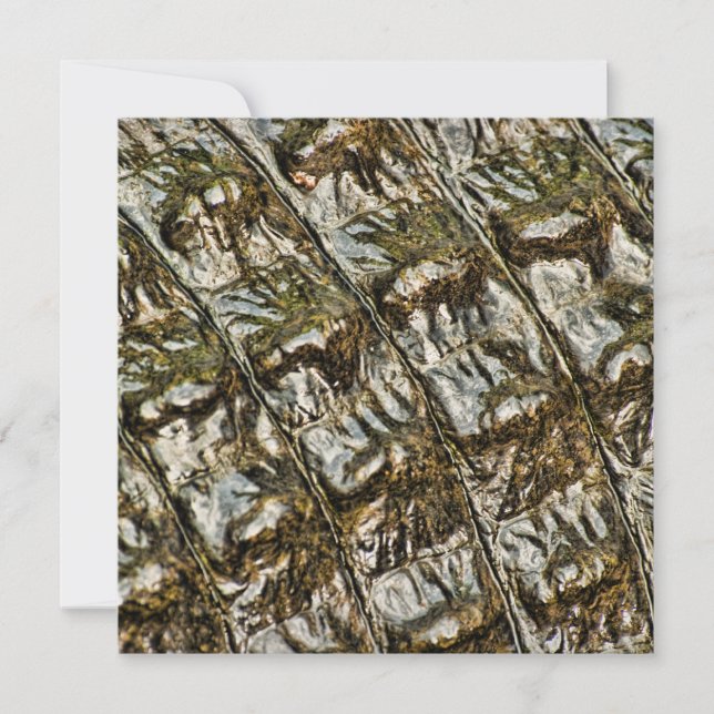 Wet Alligator Back Abstract Photograph Invitation (Front)