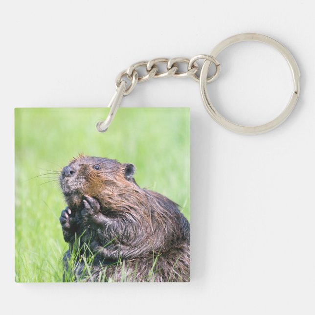 Wet Beaver Keychain (Back)